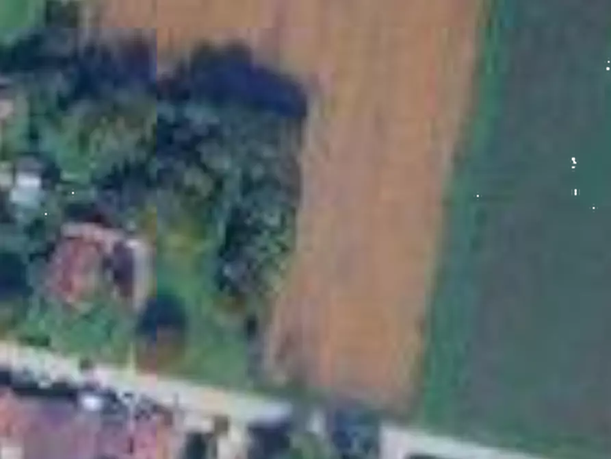 Immagine 8 di Terreno agricolo in vendita  in Località San Martino al Tagliamento a San Martino Al Tagliamento