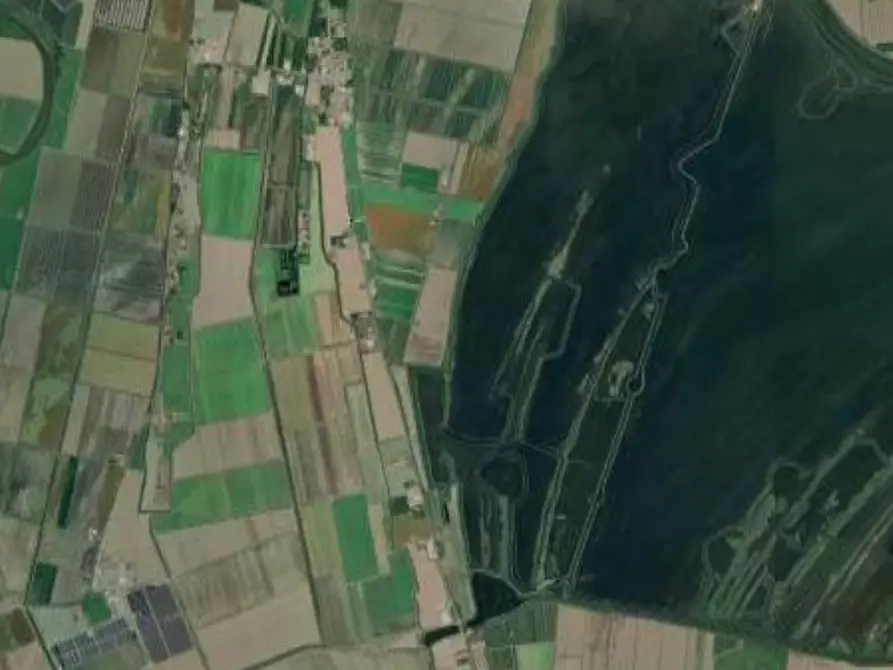 Immagine 5 di Capannone industriale in vendita  in Via Romea a Comacchio