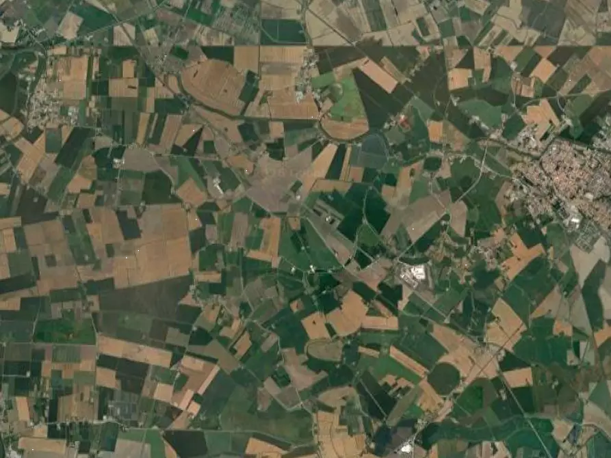 Immagine 3 di Casa indipendente in vendita  in Via delle Anime a Argenta