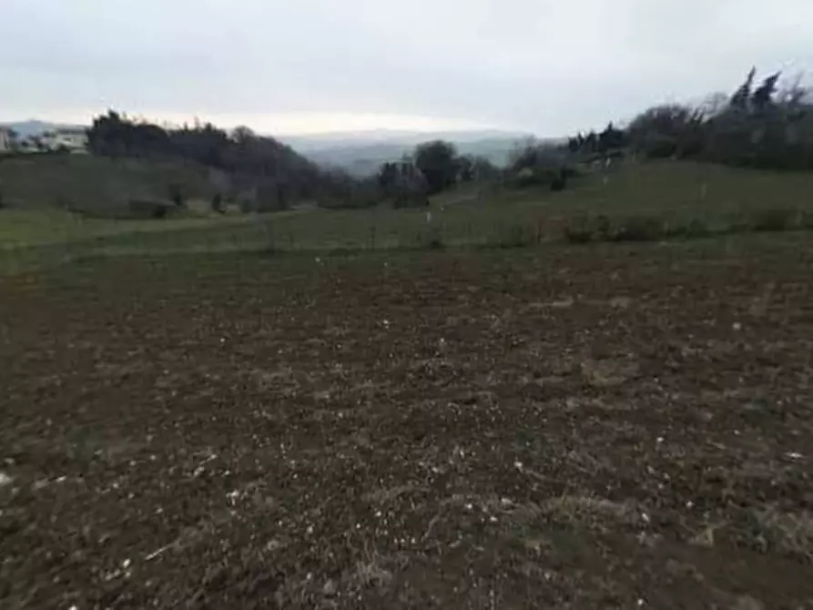 Immagine 1 di Terreno edificabile in vendita  in Località Mondavio a Mondavio