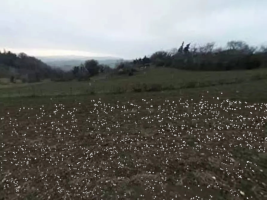 Immagine 3 di Terreno edificabile in vendita  in Località Mondavio a Mondavio