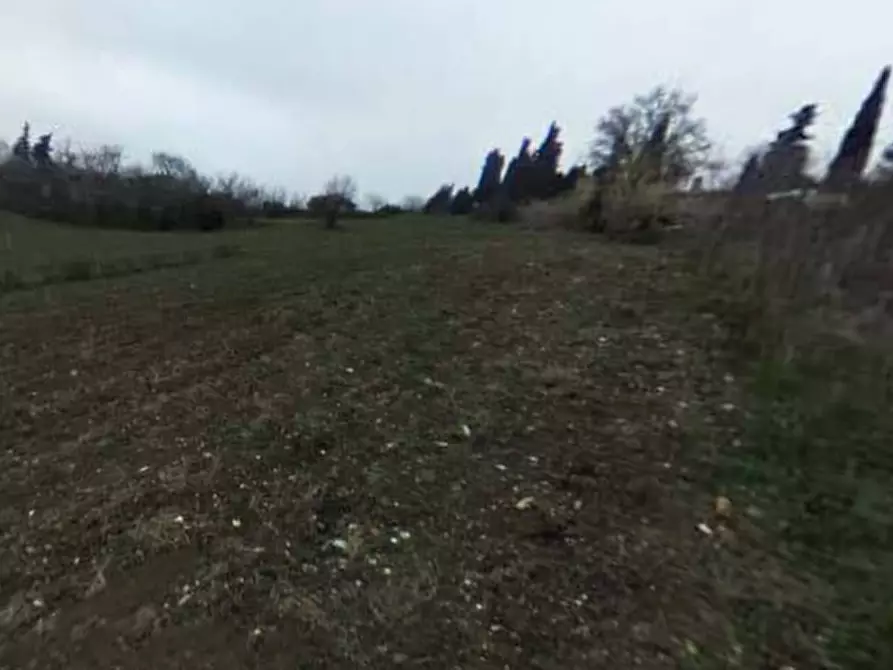 Immagine 4 di Terreno edificabile in vendita  in Località Mondavio a Mondavio