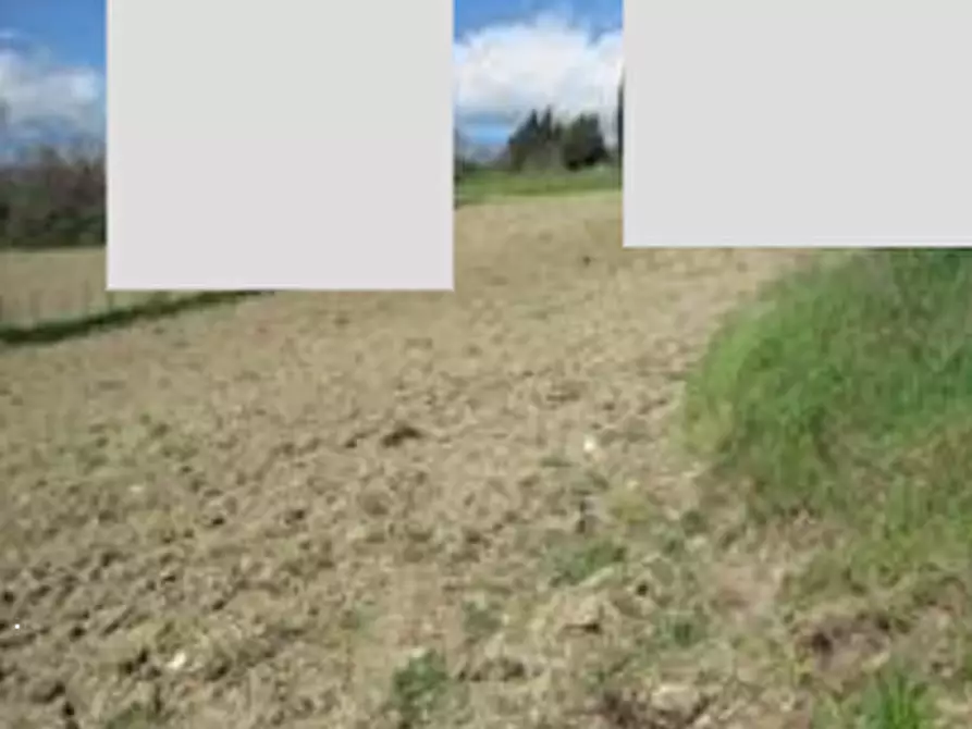 Immagine 7 di Terreno edificabile in vendita  in Località Mondavio a Mondavio