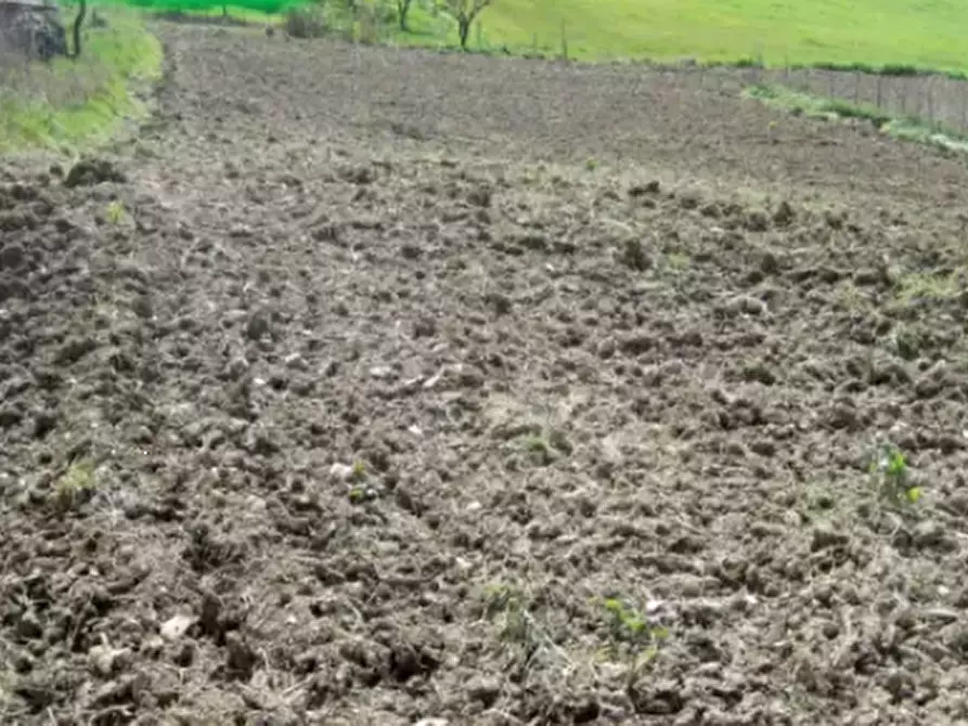 Immagine 8 di Terreno edificabile in vendita  in Località Mondavio a Mondavio