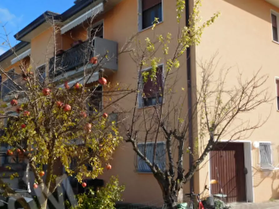 Immagine 4 di Appartamento in vendita  in Via Guaiane a Noventa Di Piave