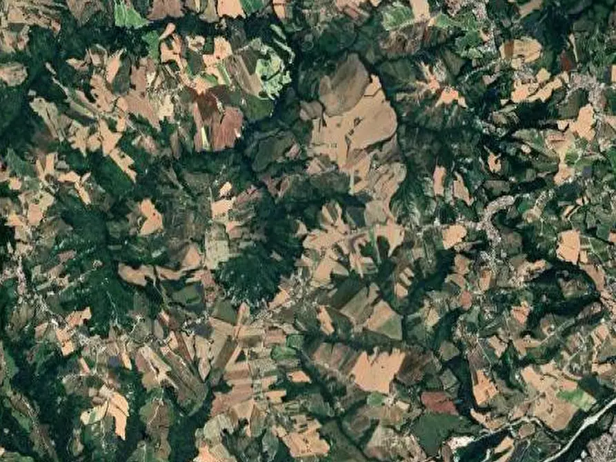 Immagine 10 di Laboratorio in vendita  in Via Giuseppe Verdi a Falerone