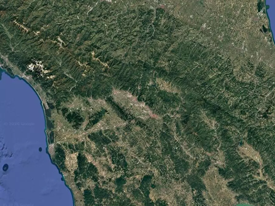 Immagine 9 di Appartamento in vendita  in Via Amilcare Ponchielli a Campi Bisenzio