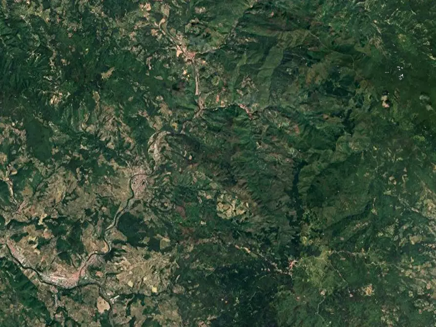 Immagine 6 di Appartamento in vendita  in Localita' Petrognano a Rufina