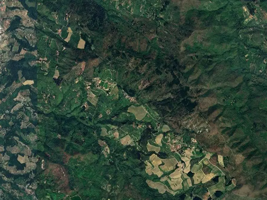 Immagine 11 di Appartamento in vendita  in Localita' Petrognano a Rufina