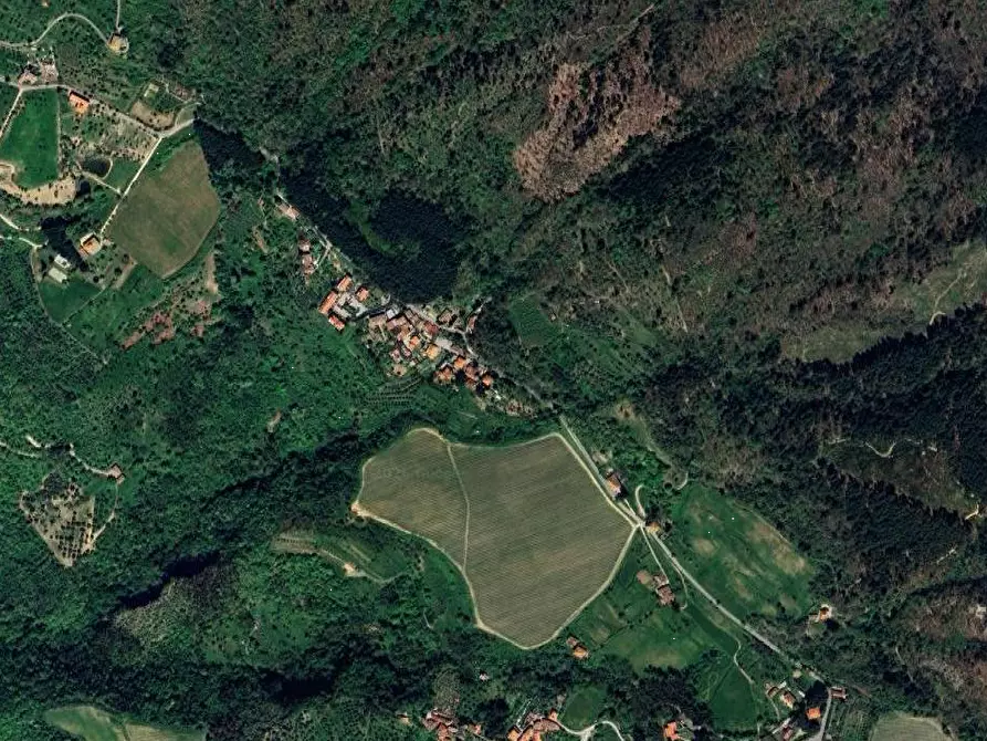 Immagine 13 di Appartamento in vendita  in Localita' Petrognano a Rufina