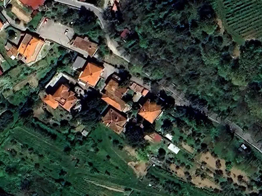 Immagine 16 di Appartamento in vendita  in Localita' Petrognano a Rufina