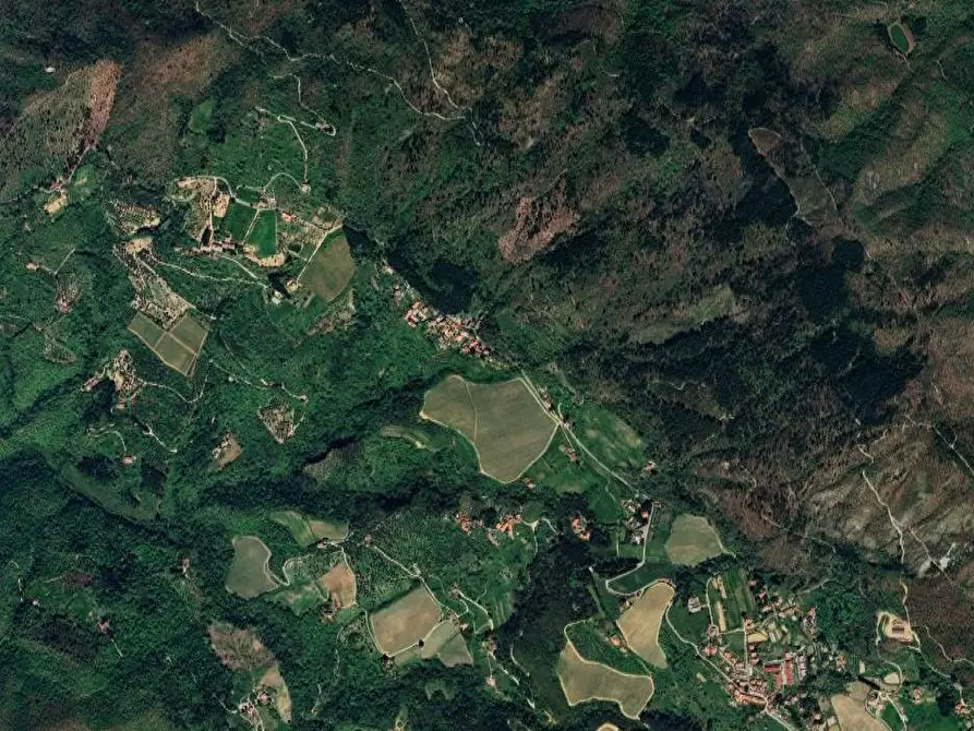 Immagine 7 di Appartamento in vendita  in Localita' Petrognano a Rufina