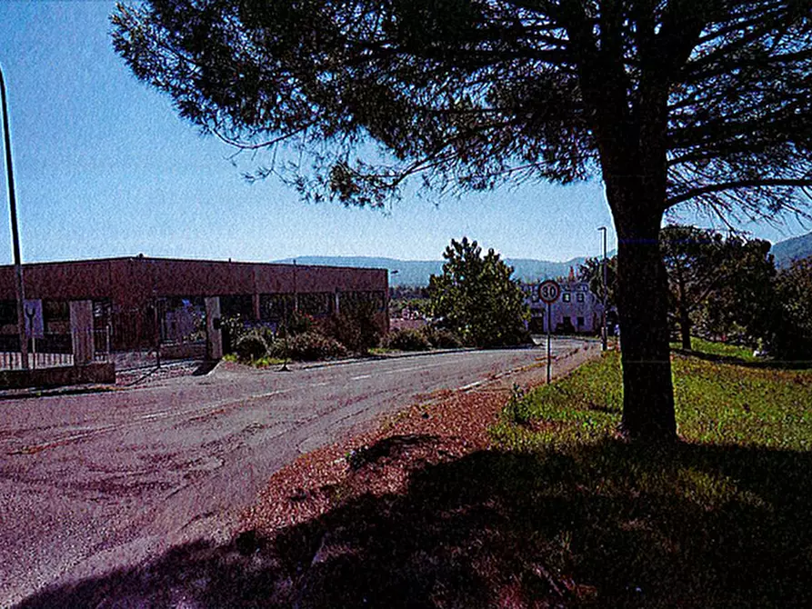 Immagine 4 di Terreno edificabile in vendita  in Via Loc. Acquaiola a Piegaro