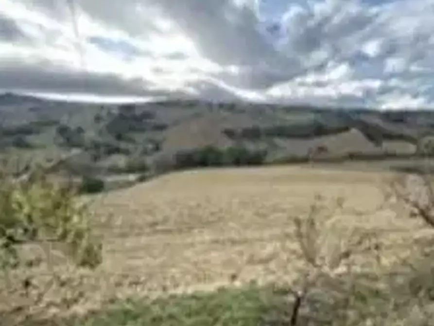 Immagine 1 di Terreno agricolo in vendita  in Via Forche di Tenna a Montottone