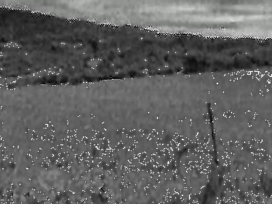 Immagine 10 di Casa indipendente in vendita  in Via Monte Paganuccio a Cagli