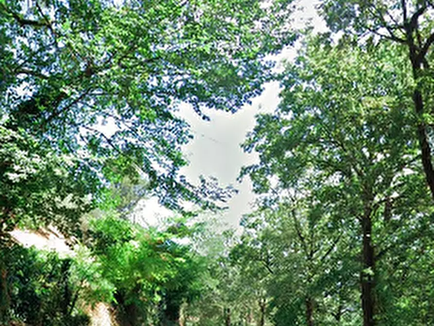 Immagine 28 di Casa indipendente in vendita  in Via Monte Paganuccio a Cagli