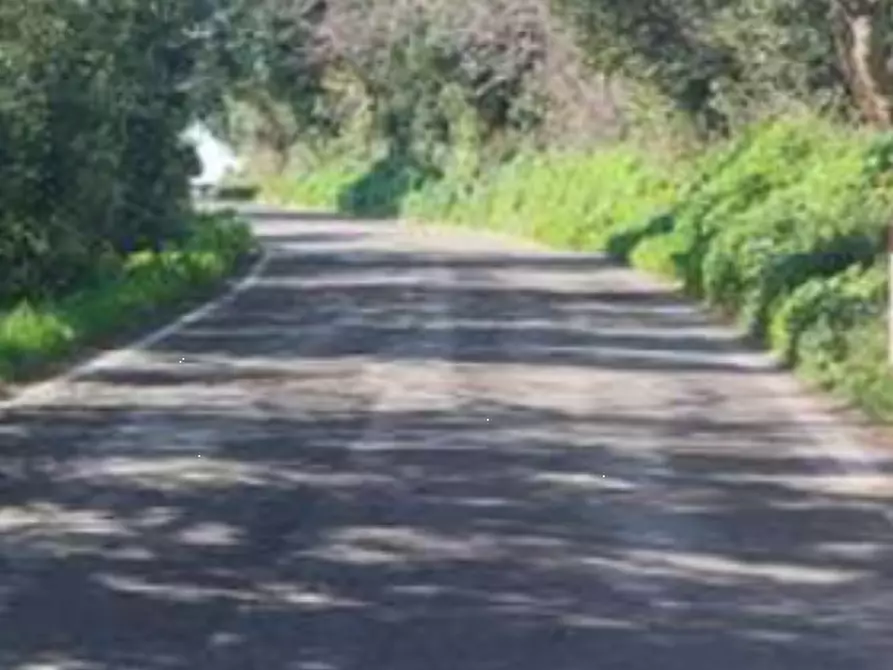 Immagine 9 di Terreno edificabile in vendita  in Via Serra a Vallefoglia