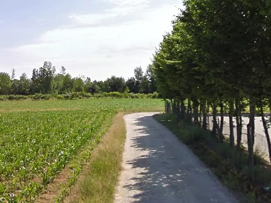 Immagine 21 di Capannone industriale in vendita  in Via Piave a Piombino Dese