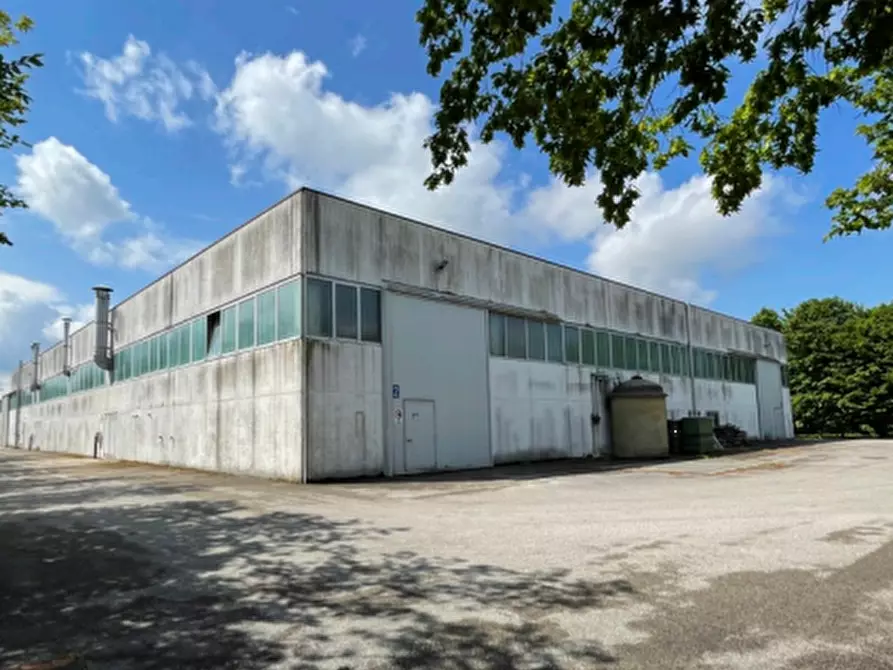 Immagine 3 di Capannone industriale in vendita  in Via Piave a Piombino Dese