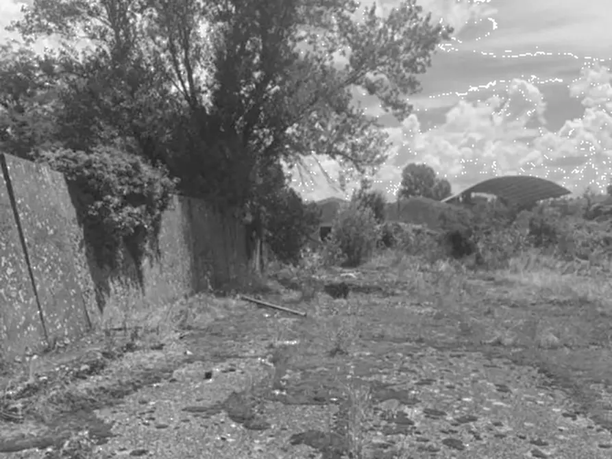 Immagine 4 di Terreno agricolo in vendita  in Via Provinciale Volterrana a Castelfiorentino