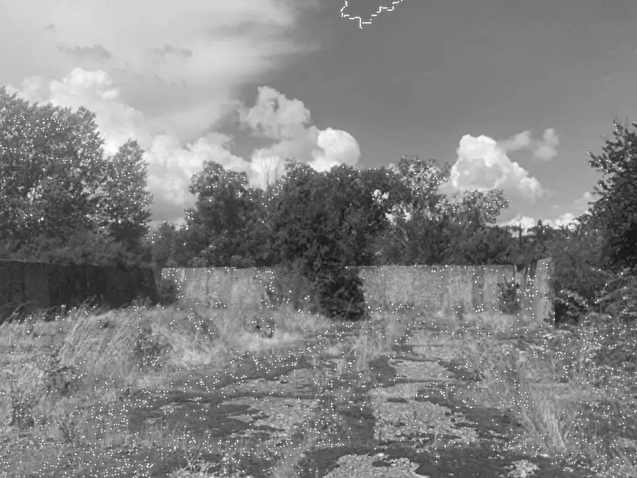Immagine 2 di Terreno agricolo in vendita  in Via Provinciale Volterrana a Castelfiorentino