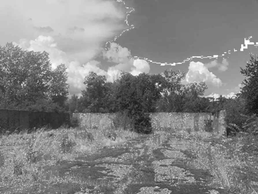 Immagine 3 di Terreno agricolo in vendita  in Via Provinciale Volterrana a Castelfiorentino