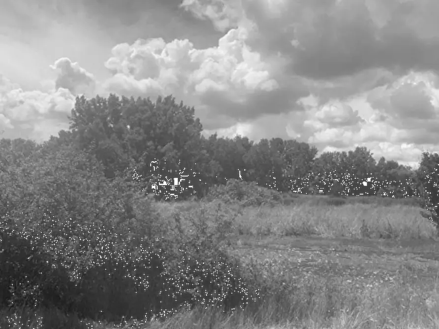 Immagine 1 di Terreno agricolo in vendita  in Via Provinciale Volterrana a Castelfiorentino