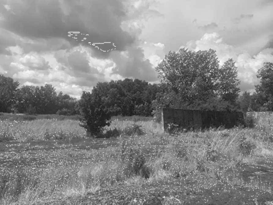 Immagine 5 di Terreno agricolo in vendita  in Via Provinciale Volterrana a Castelfiorentino