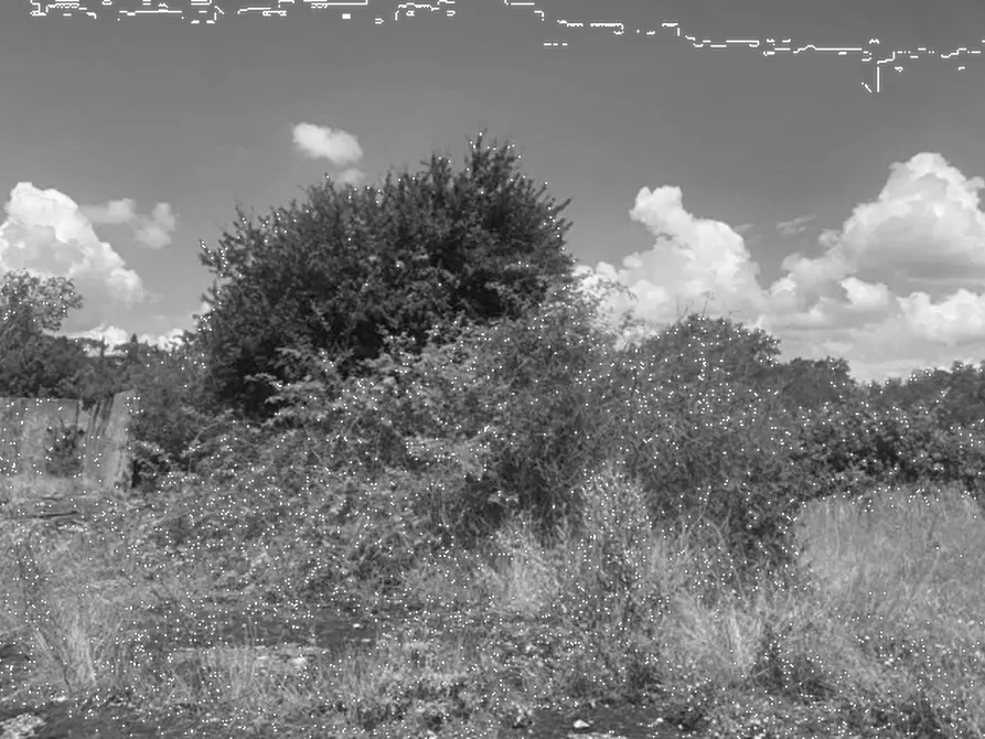 Immagine 6 di Terreno agricolo in vendita  in Via Provinciale Volterrana a Castelfiorentino