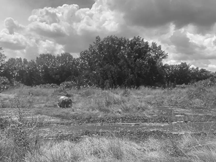 Immagine 7 di Terreno agricolo in vendita  in Via Provinciale Volterrana a Castelfiorentino