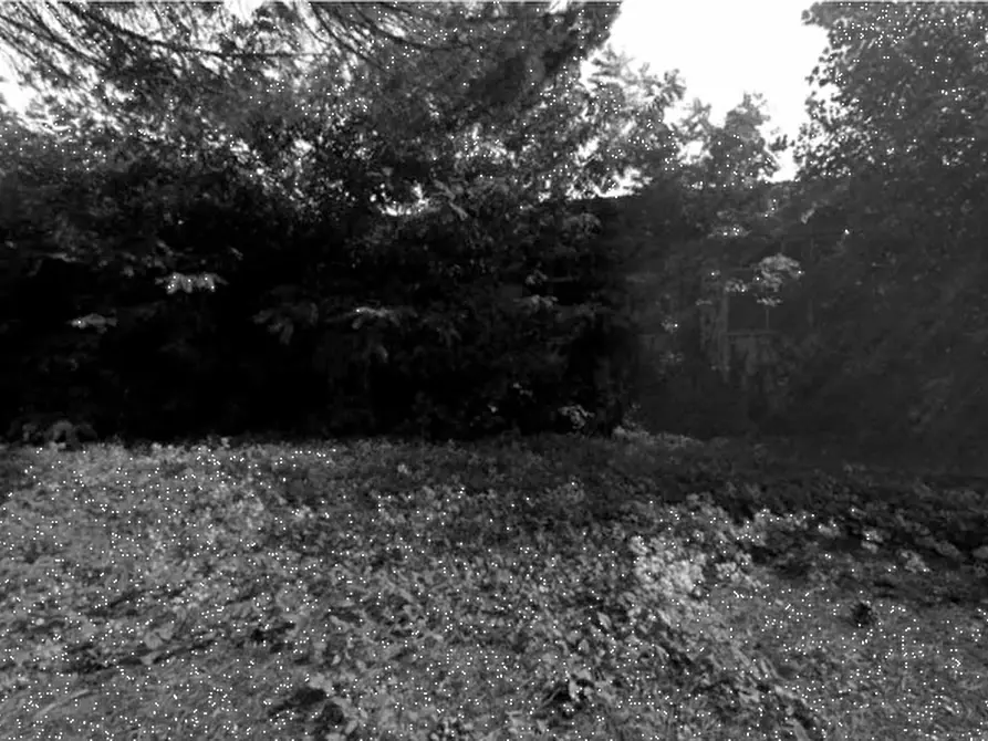 Immagine 9 di Terreno agricolo in vendita  in Via Provinciale Volterrana a Castelfiorentino