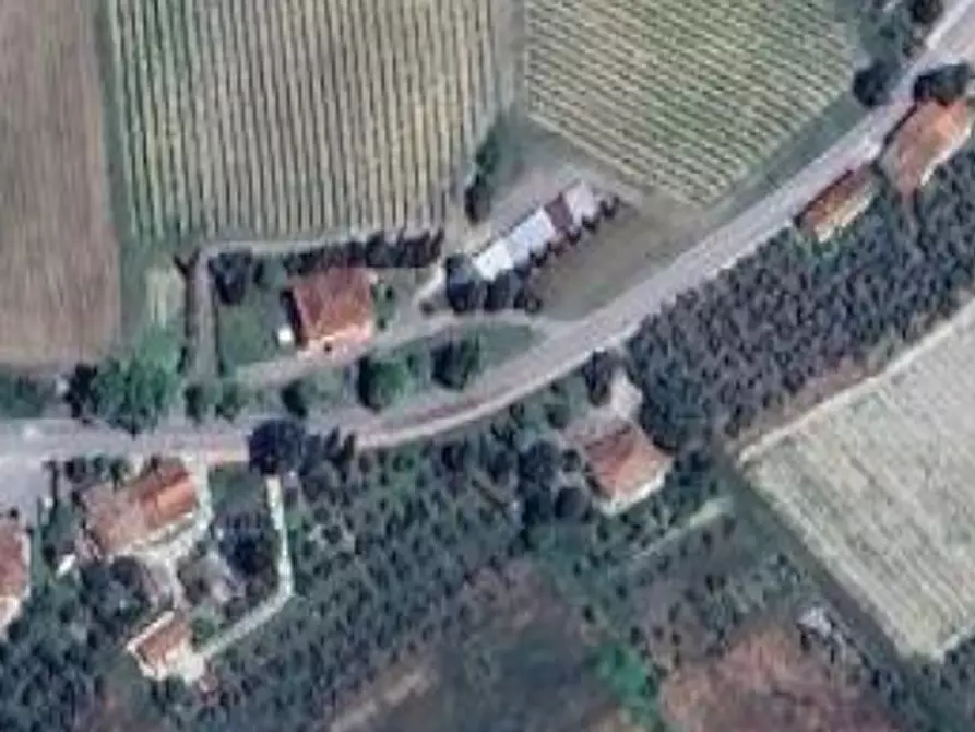 Immagine 15 di Terreno agricolo in vendita  in Via Provinciale Volterrana a Castelfiorentino