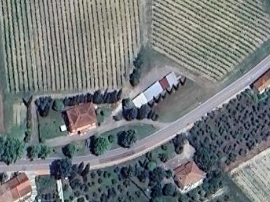 Immagine 16 di Terreno agricolo in vendita  in Via Provinciale Volterrana a Castelfiorentino