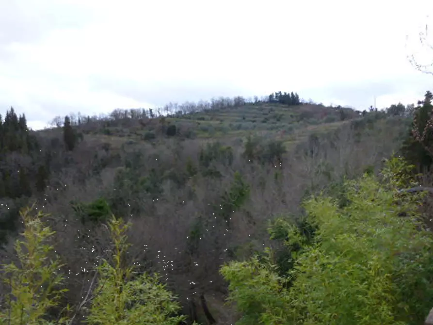Immagine 1 di Terreno agricolo in vendita  in Via San Martino in Cecione a Greve In Chianti