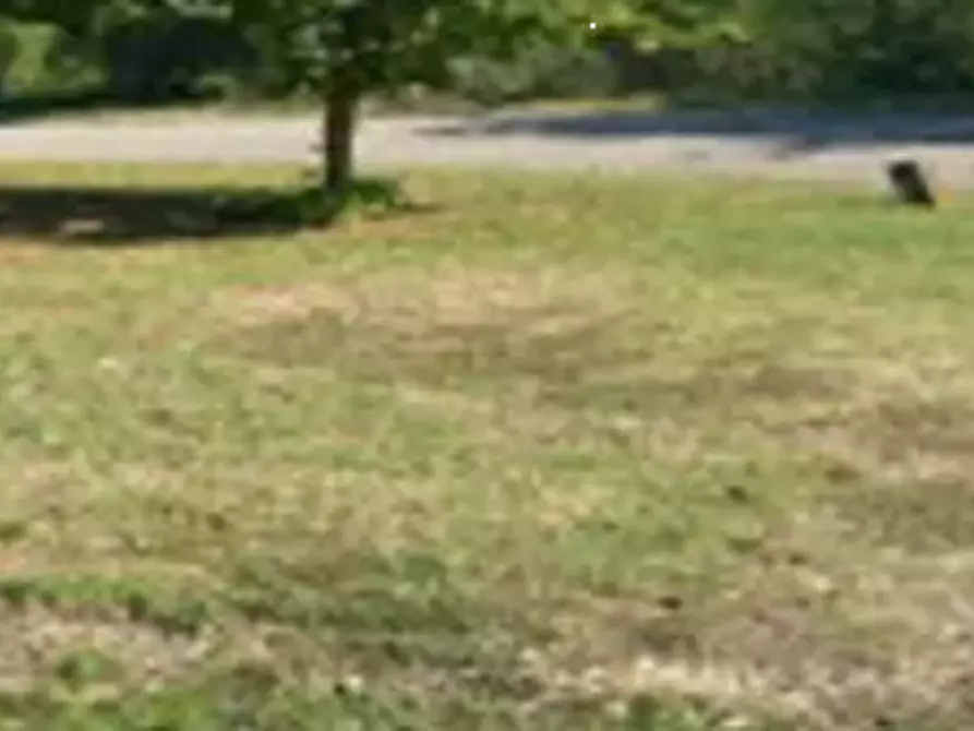 Immagine 11 di Azienda agricola in vendita  in Via dei Frati a Modigliana