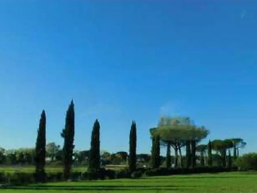 Immagine 1 di Terreno agricolo in vendita  in Via di Lunghezzina a Roma