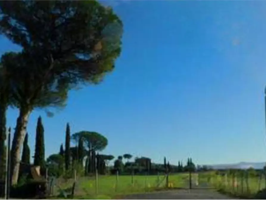Immagine 2 di Terreno agricolo in vendita  in Via di Lunghezzina a Roma