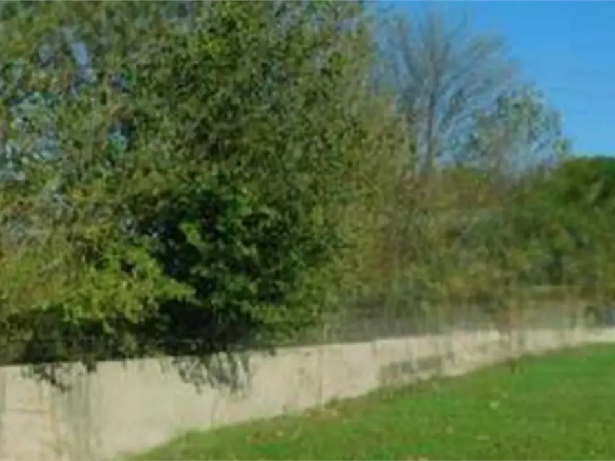 Immagine 3 di Terreno agricolo in vendita  in Via di Lunghezzina a Roma