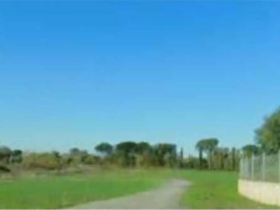 Immagine 4 di Terreno agricolo in vendita  in Via di Lunghezzina a Roma