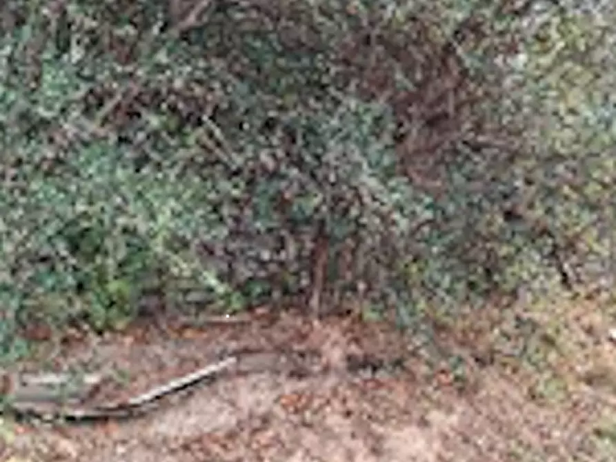 Immagine 11 di Casa indipendente in vendita  in Frazione Seghino Inferiore a Mompantero