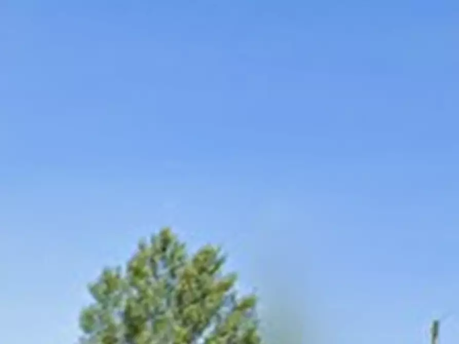 Immagine 13 di Porzione di casa in vendita  in Via Varana a Nogarole Rocca