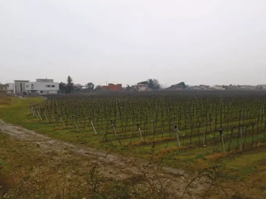 Immagine 9 di Terreno agricolo in vendita  in Via Pigno a Pescantina