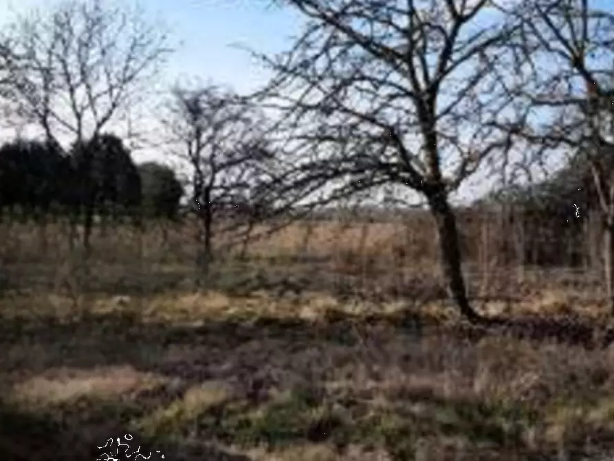 Immagine 9 di Porzione di casa in vendita  in Via Aquileia a Fiume Veneto