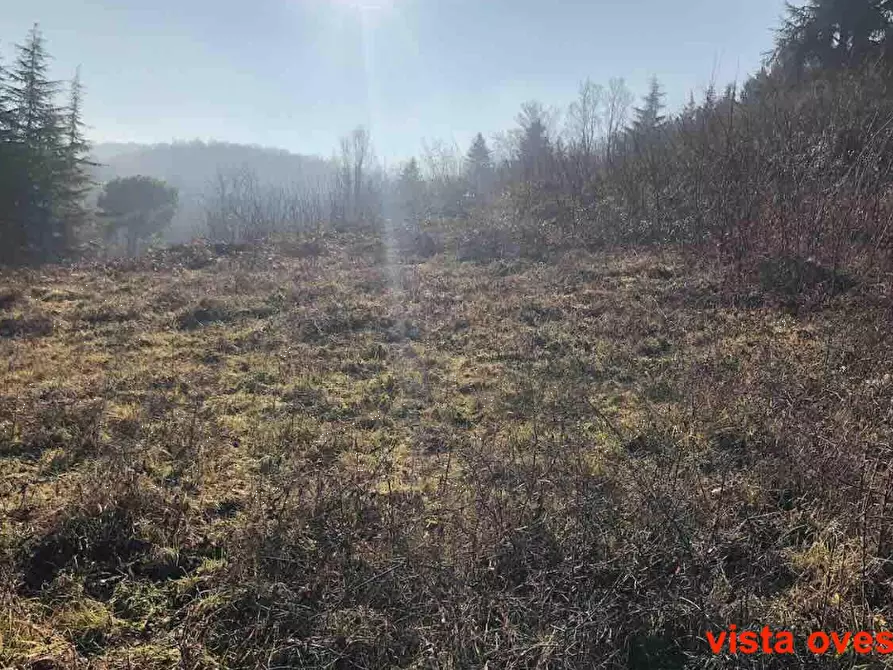 terreno edificabile in vendita a Gazzola in zona Rezzanello