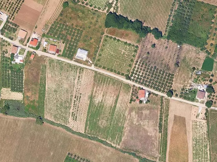 Immagine 3 di Terreno edificabile in vendita  in Contrada Santo Stefano a Ripa Teatina