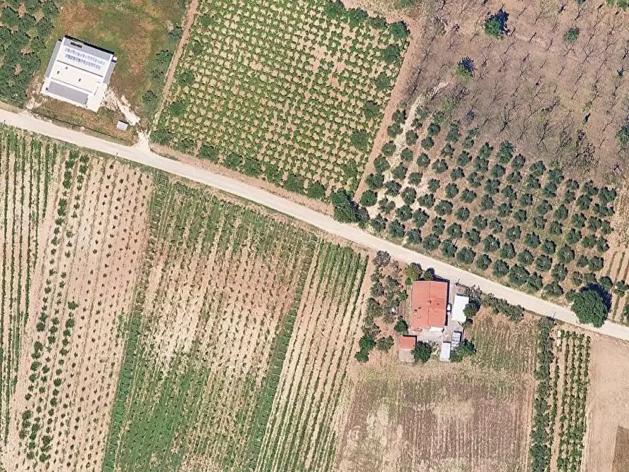 Immagine 2 di Terreno edificabile in vendita  in Contrada Santo Stefano a Ripa Teatina