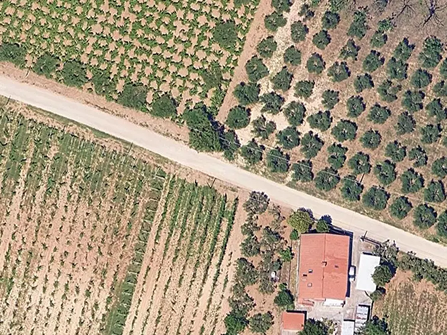 Immagine 1 di Terreno edificabile in vendita  in Contrada Santo Stefano a Ripa Teatina