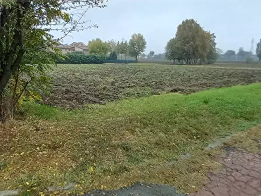 Immagine 5 di Terreno agricolo in vendita  in Via Cicerone a Parma