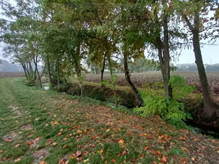 Immagine 7 di Terreno agricolo in vendita  in Via Cicerone a Parma