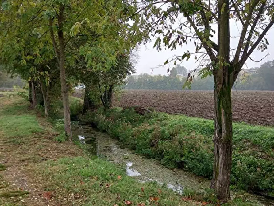 Immagine 8 di Terreno agricolo in vendita  in Via Cicerone a Parma